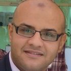 Ahmed Goher, Software Architect