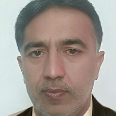 Haleem Shah