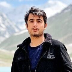 Hamid Hussain,  React Developer