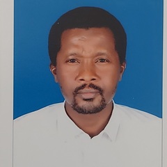 NAGIM MOHAMMED NAGIM  ABDOALNOUR