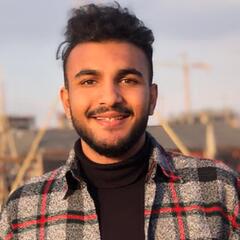 Mohamed Tarek
