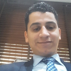 محمد فوقي محمد عثمان, Chief Accountant