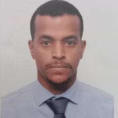 Tariq Abdallah, Sr.Financial controller 