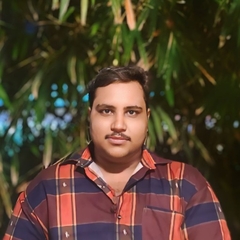 Arunkumar  Palanisamy