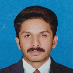 M Ismail Shahid