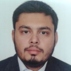 Muhammad Naqvi, Senior Project Accountant