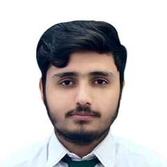 Shahzada Husnain