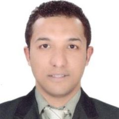 لؤى محمد فؤاد يونس, Department Head of Internal Auditing