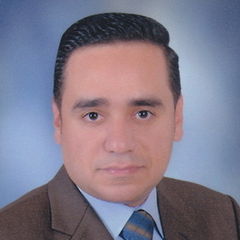 Sherif Mohamed Gouda Hassanein, Senior Electrical Engineer