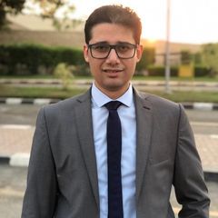 Ahmed Reda Elhosseny Awad, Site sales manager 