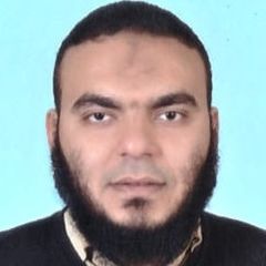 محمد سعد محمود, IT Manager