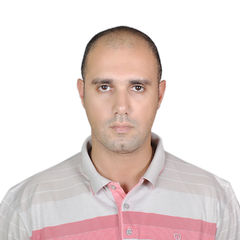 Mohamed Sobhy, Aircraft Component Engineer