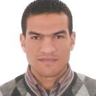 Mohamed Ibrahim Hassan Mohamed Aboul ELA, Service Engineer