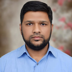 محمد رضاءالله خان, Sr.Programmer /Technical Consultant