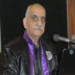 faisal alomar, مدير مشروع