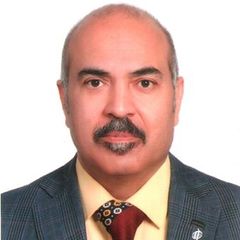 Ramin حاجيان, Planning/ Programming Office Director - Vice President