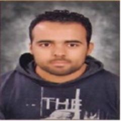 Hossam Abdallah Abdallah Elsadek, quality inspector
