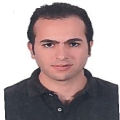Mahmoud El kotby, Manager Financial Planning And Analysis