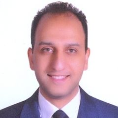 Ashraf Melegi, Pre-Sales Manager