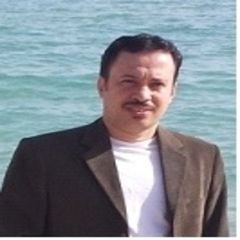 Mohamed Abdel Halim Abdel Shafy Radwan, Operation and maintenance consultant 