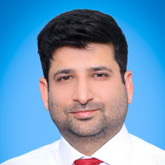 Ali Mehmood, Project Manager 