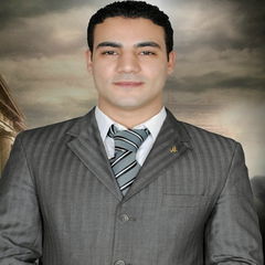 Mohamed Taha Feky elfky, محامى