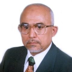 محمد مجدى الطنطاوي, Senior Data Architect