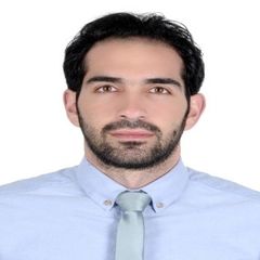 شادي غياث, Medical Sales Representative