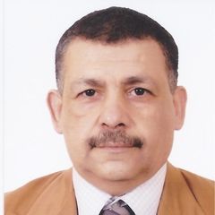 Farid Hosni Gad Attia, Project Administrator