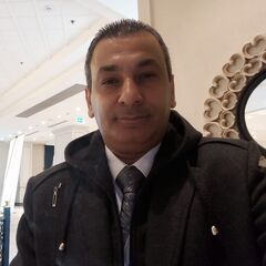 Hany Ali Osman Saied, Financial Manager