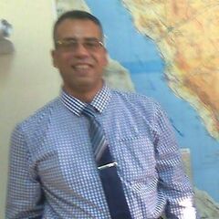 Elsayed Abdel Monem Sayed Abdel Halim  PMP, Projects Manager