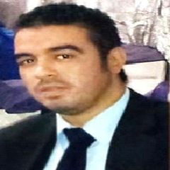 Mohamed Adel Rasmy Abd el Mageed, Graphics Trainer