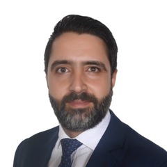 Ghiath El-Awad, Business Intelligence Manager