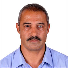 محمد محمد أنيس الشرباصي الشرباصي, تكنولوجبا المعلومات والادارة