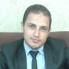Adel Abd El Monem Mohy El deen El samadecy, Account manager