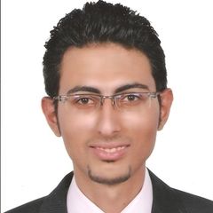 Mohamed Fareed Mohamed EL-Gohary, Technical & Commercial Sales