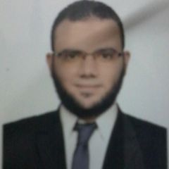 محمد وجيه محمد محمد المدنى, Site engineer