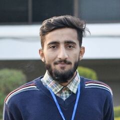 Rana Asad  Ali Ayub, Web Application Developer