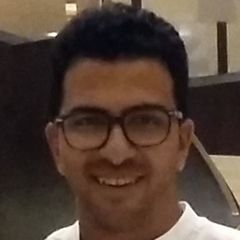 محمد عفيفي, Site Architect