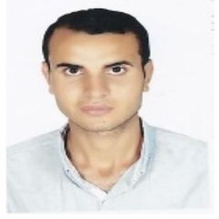 أحمد ابوعاصى, Senior Site Engineer 