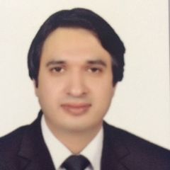 Hamza Maqsood, Legal Assistant