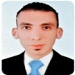 Mohamed Elgrawany, sales man