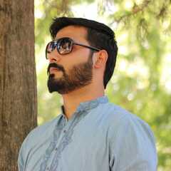 Zeeshan Ali, Software Engineer