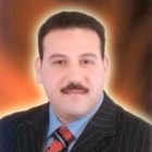 mohamedfadel fadel, financial manager