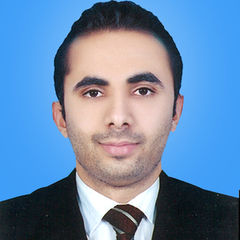 Ahmed Saber Sakr Khider, Senior Accountant