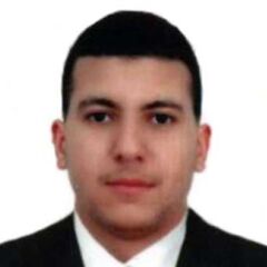 ahmed amer PMP Certified, Technical Office Manager