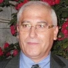 Fadi Loutfi, Accountant, Audit and Stock Controller