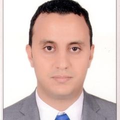 Ahmed Fatthy, IT Internal Audit Ass. Manager