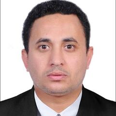 Ashraf  Sadek, translator & interpreter