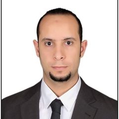 Omar Mohsen Masoud, Software Development Team Lead .Net